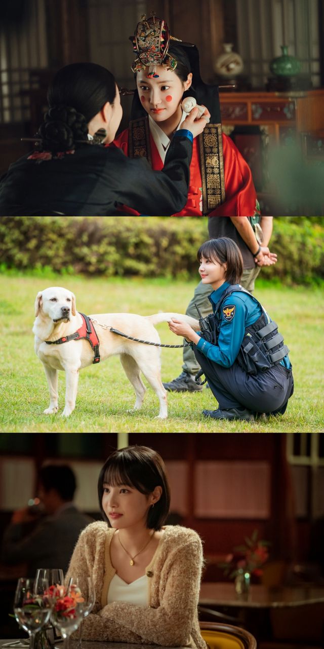 사진=MBC '우리, 집', '아이엠티브이', 'SLL,코퍼스코리아' 제공