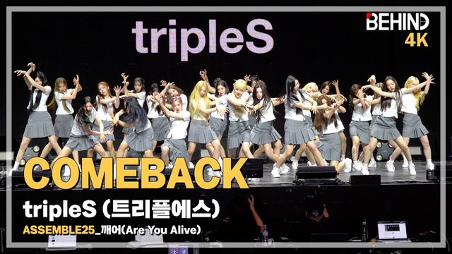 영상=비하인드DB