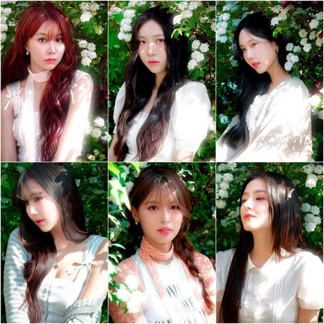 사진=인연엔터테인먼트 제공