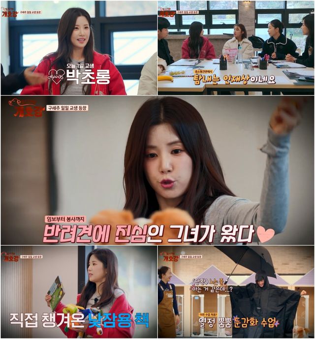 사진=JTBC '집 나가면 개호강' 제공