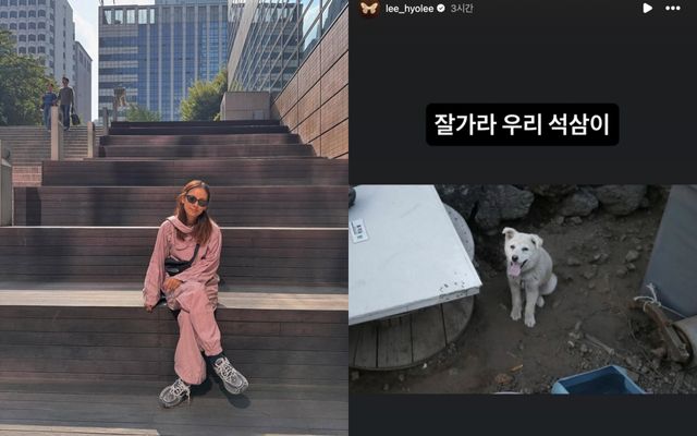 사진=이효리 SNS