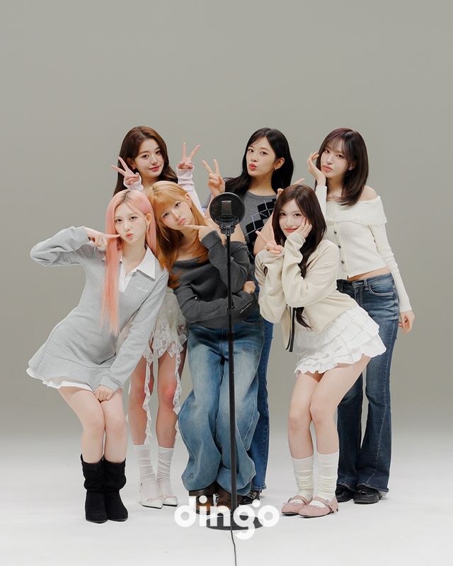 사진=딩고 제공