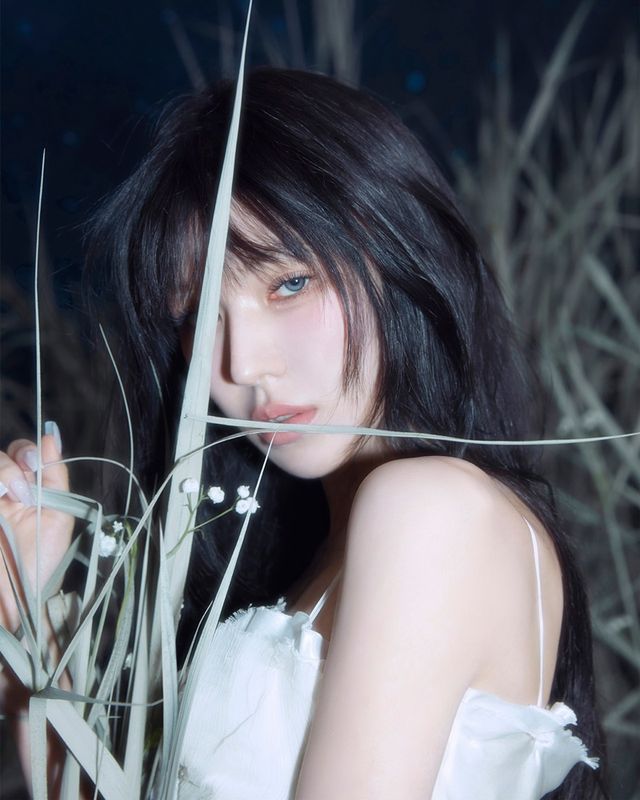 사진=다날엔터테인먼트 제공