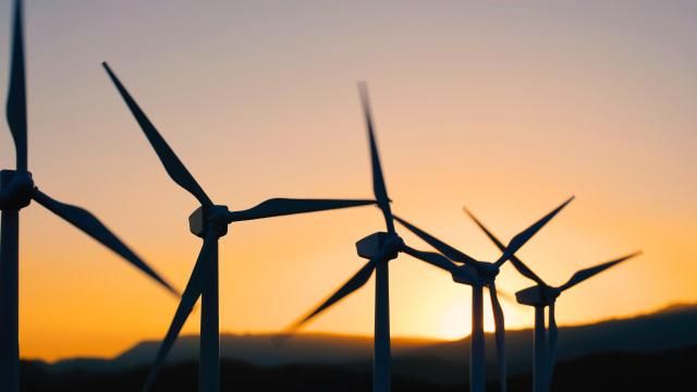 사진게티이미지