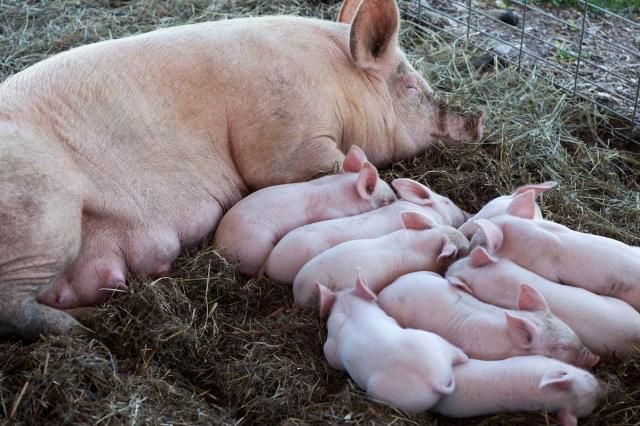 사진게티이미지