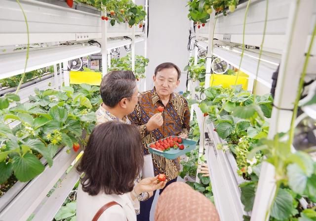 사진담양군 홈페이지