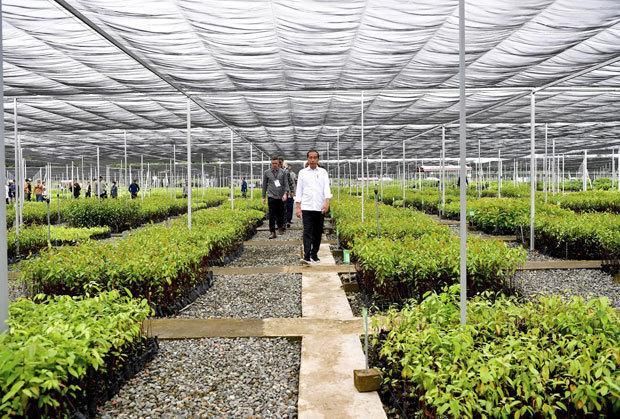 완공된 문타윌 묘상시설의 모습 사진인도네시아 대통령실 제공