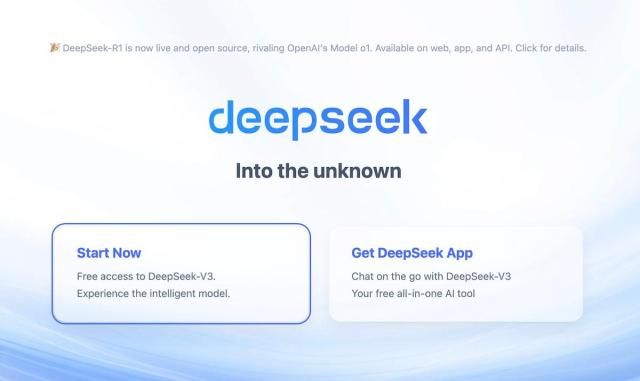 사진딥시크 홈페이지 캡처