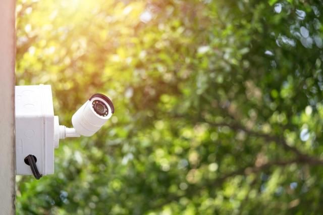 사진게티이미지