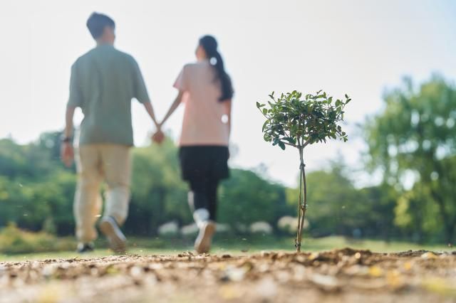 사진게티이미지