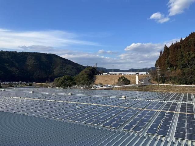 사진립톤에너지 페이스북