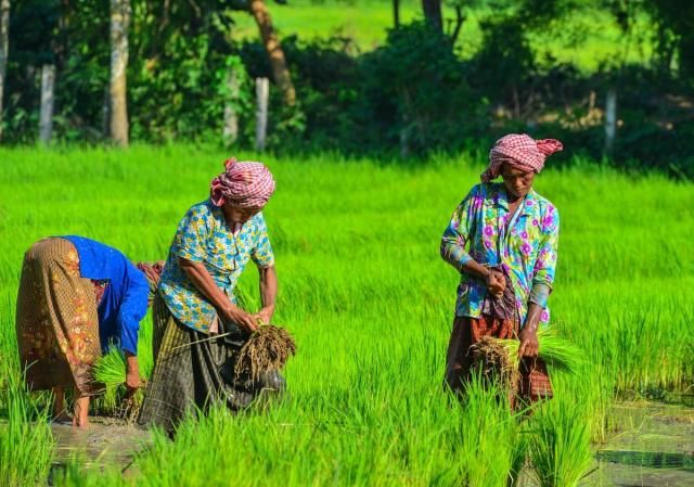 사진게티이미지