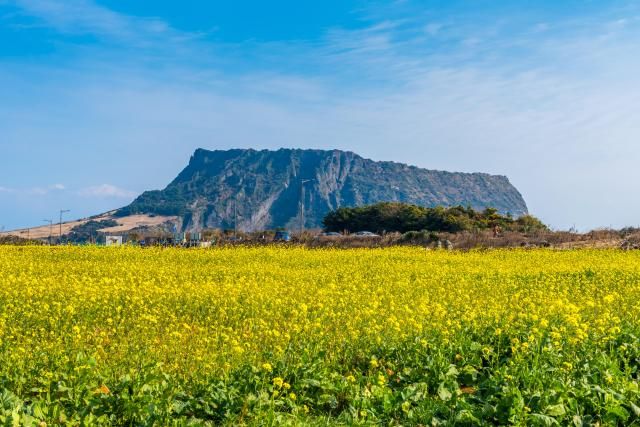 【图片来源 GettyImagesBank】