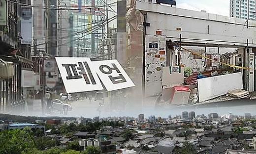 【图片提供 网络】