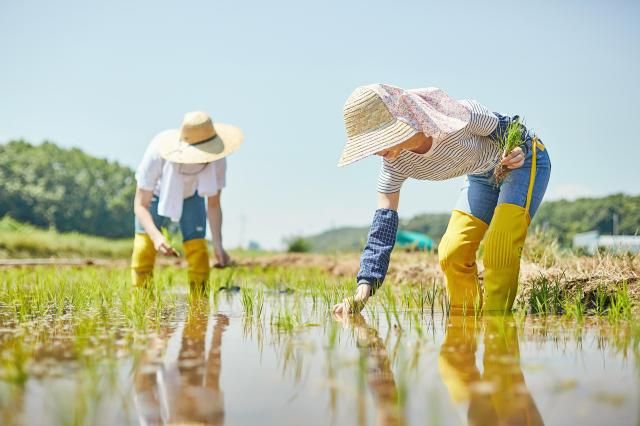 【图片来源 GettyImagesBank】
