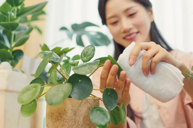 【图片来源 getty images bank】