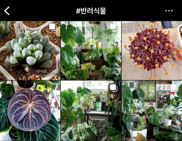 【图片来源】