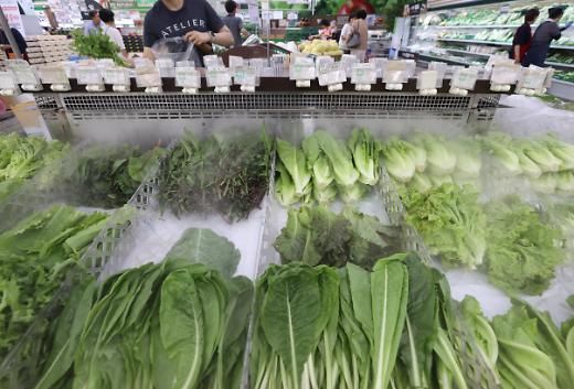 【图片提供 韩联社】