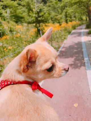 【摄影 记者 李香美】