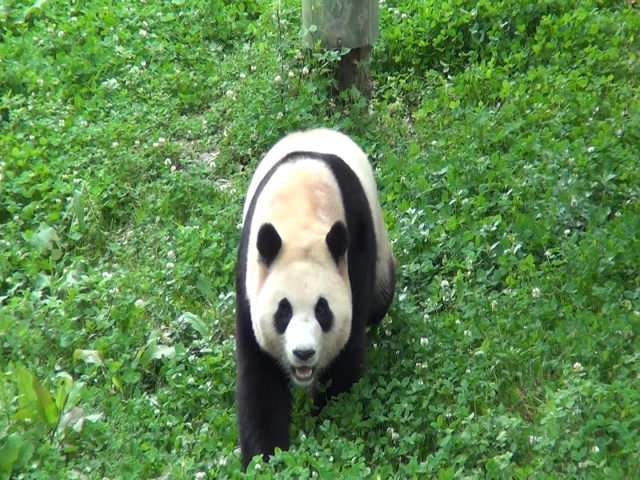 【摄影 记者 李雅贤】