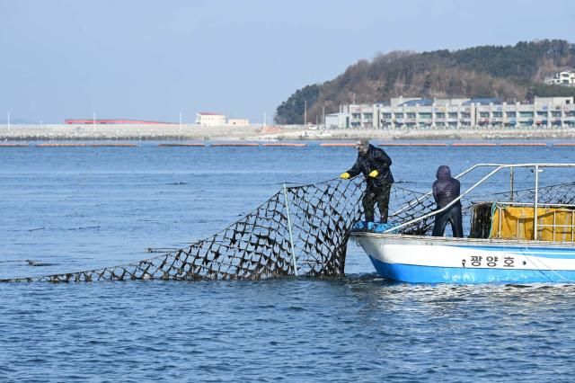 【图片来源 韩联社】