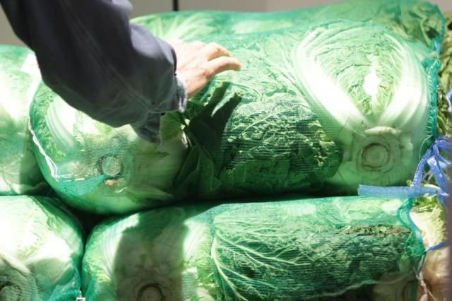 【图片来源 韩联社】