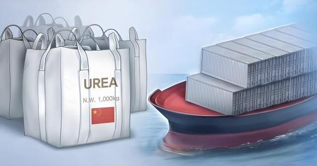 【图片来源 韩联社】