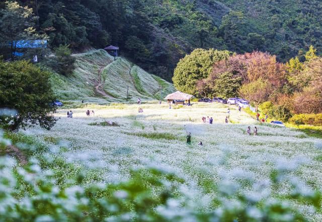 【图片来源 GettyImagesBank】