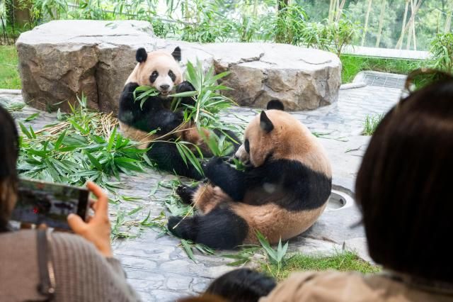 【图片来源 韩联社】