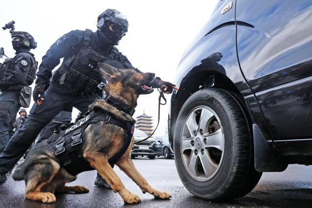 在亚太经济合作组织（APEC）领导人会议召开前的20日，庆尚北道庆州华伯国际会议中心，隶属于庆北警察厅的警察特警队动用侦查犬进行了反恐演练。【图片来源 韩联社】