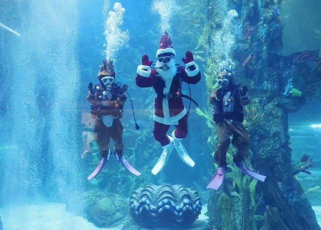 【图片提供 韩联社】