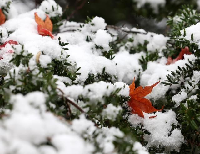 【图片来源 韩联社】