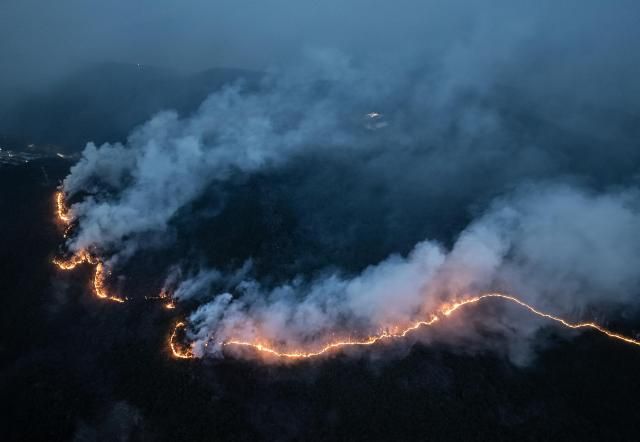 【图片来源 韩联社】
