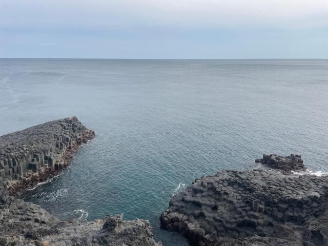 【摄影 记者 陈姗娜】