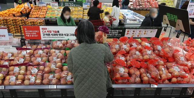 【图片提供 韩联社】