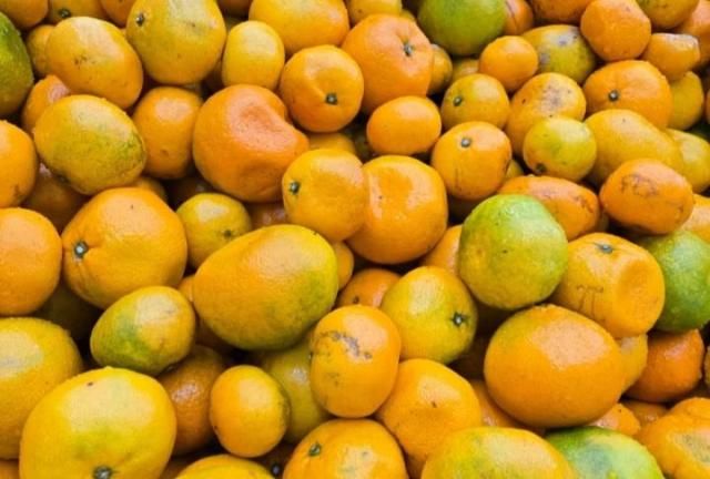 【图片提供 BGF零售】