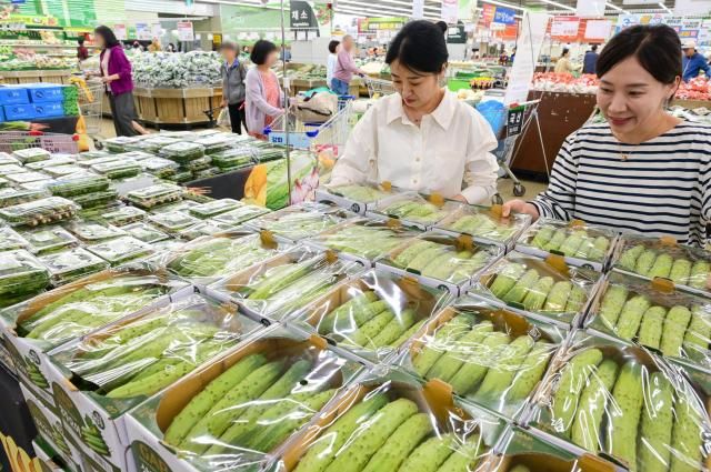 【图片提供 韩联社】