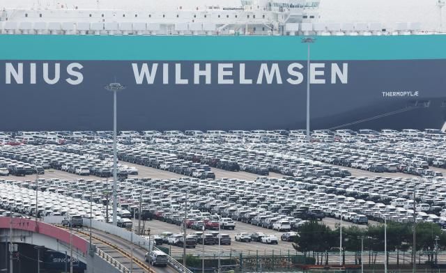 7日，在京畿道平泽港停放的出口用汽车。【图片来源 韩联社】