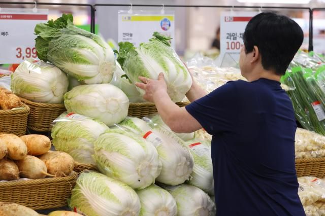 【图片提供 韩联社】