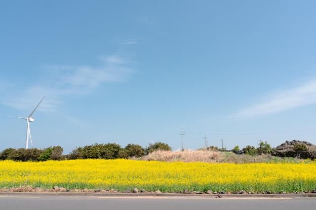 【图片提供 Gettyimagesbank】