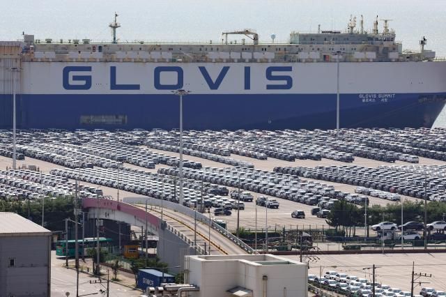 24日，在京畿道平泽港停放的出口用汽车。【图片来源 韩联社】