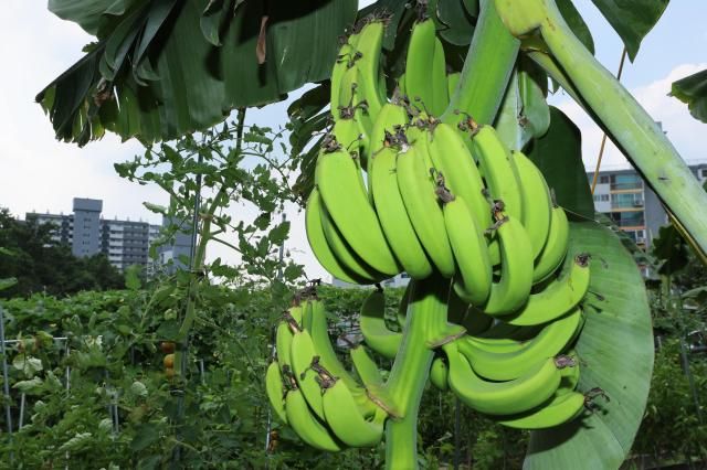 【图片提供 韩联社】