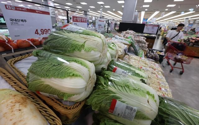 【图片提供 韩联社】