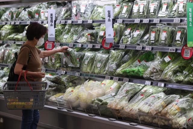 30日，在首尔某大型超市市民在挑选蔬菜。【图片提供 韩联社】