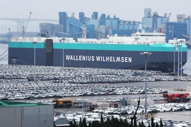 1日，在京畿道平泽港停放的出口用汽车。【图片提供 韩联社】