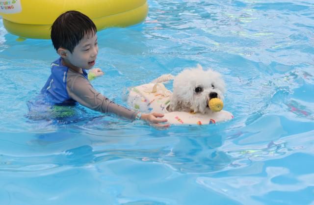 【图片提供 韩联社】