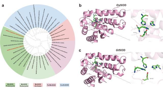 【图片来源 科丝美诗】