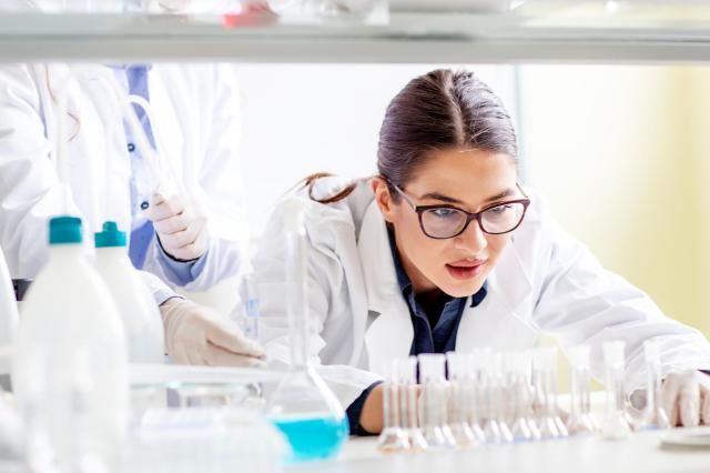 【图片提供 G】