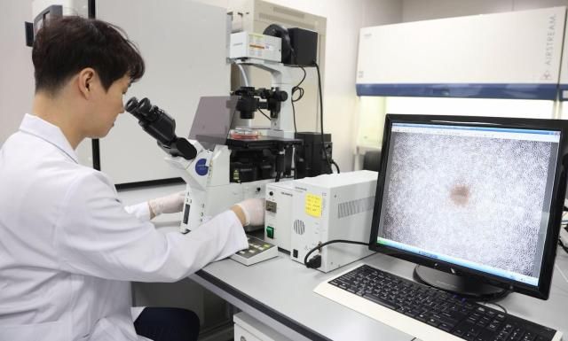 【图片提供 KGC人参公社】