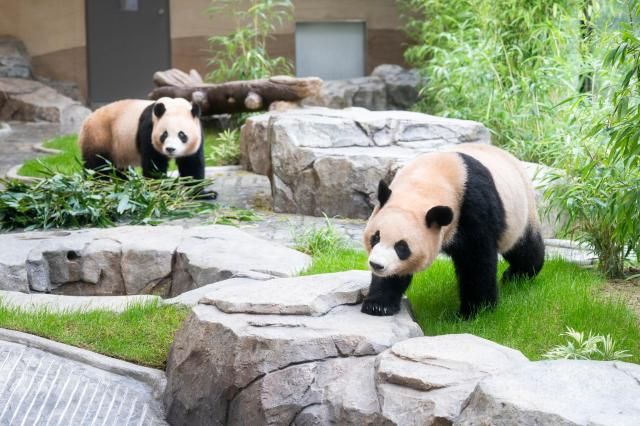 【图片来源 爱宝乐园】